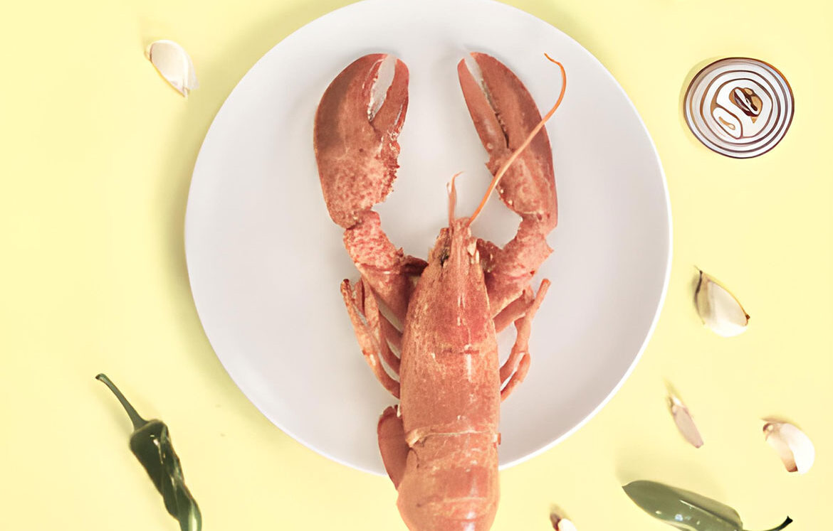 post-travel-bg-27 post-travel-bg-27